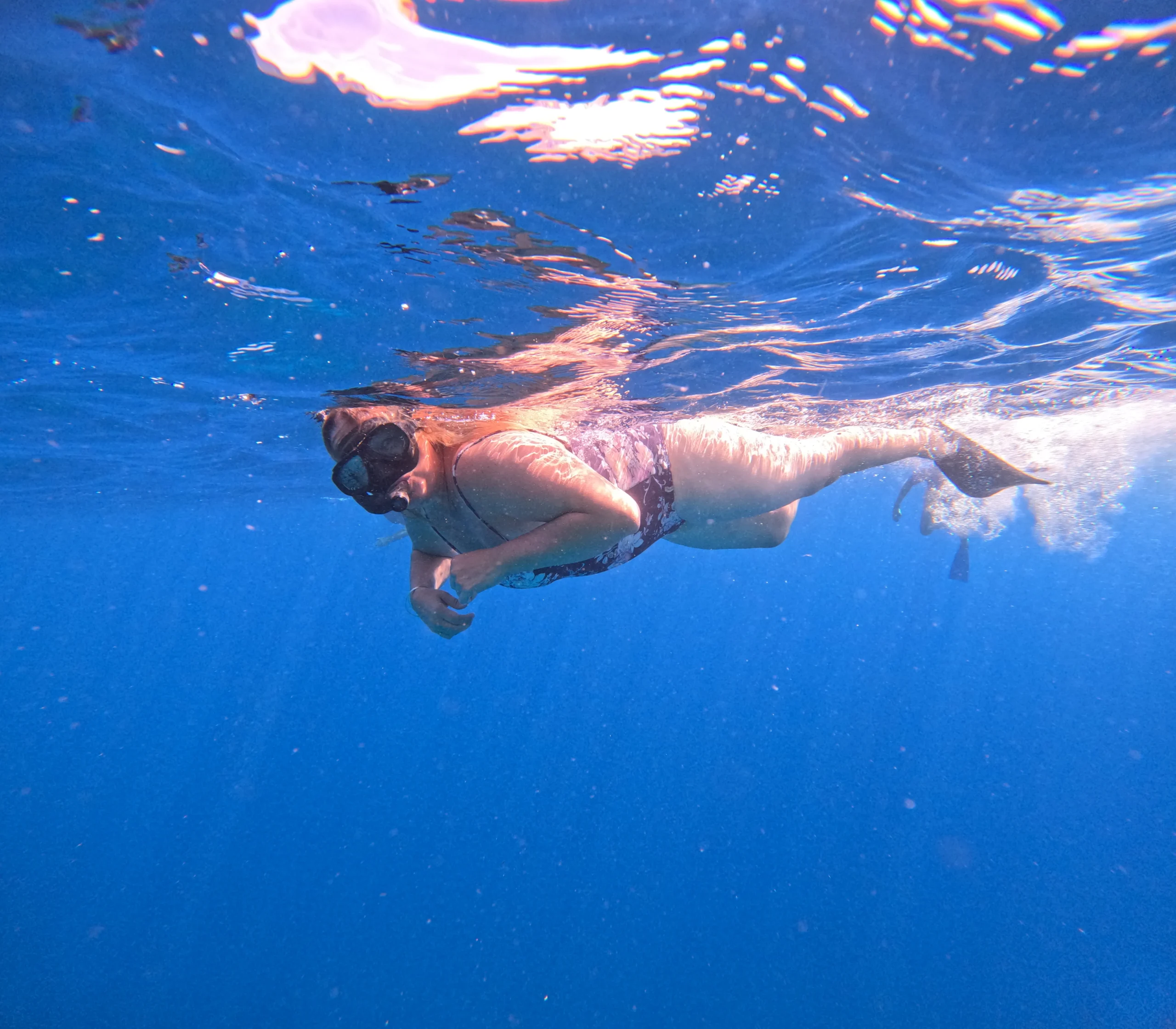 Elbark Cruise sailing the waters of Flores, Indonesia